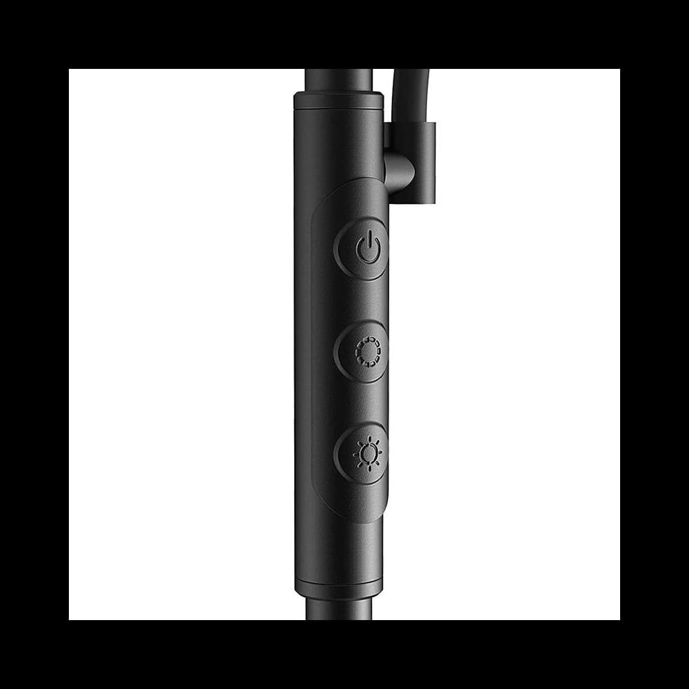 Doppel-Stehleuchte mit Fernbedienung Blitzwolf BWL-FL-0001 36W (schwarz) - 3