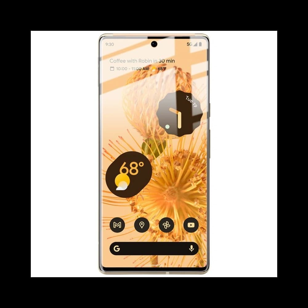 Bizon Glass Hydrogel Google Pixel 6 Pro [2 PACK] - 6