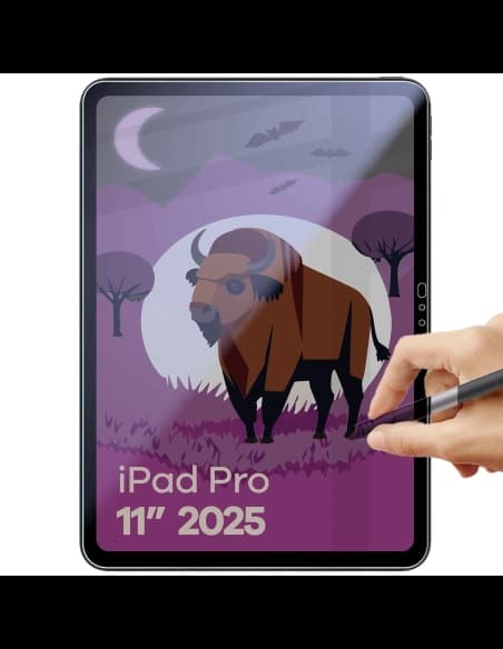 Bizon Glass Tab Mule Shadow Apple iPad Pro 11" M5 2025 matte