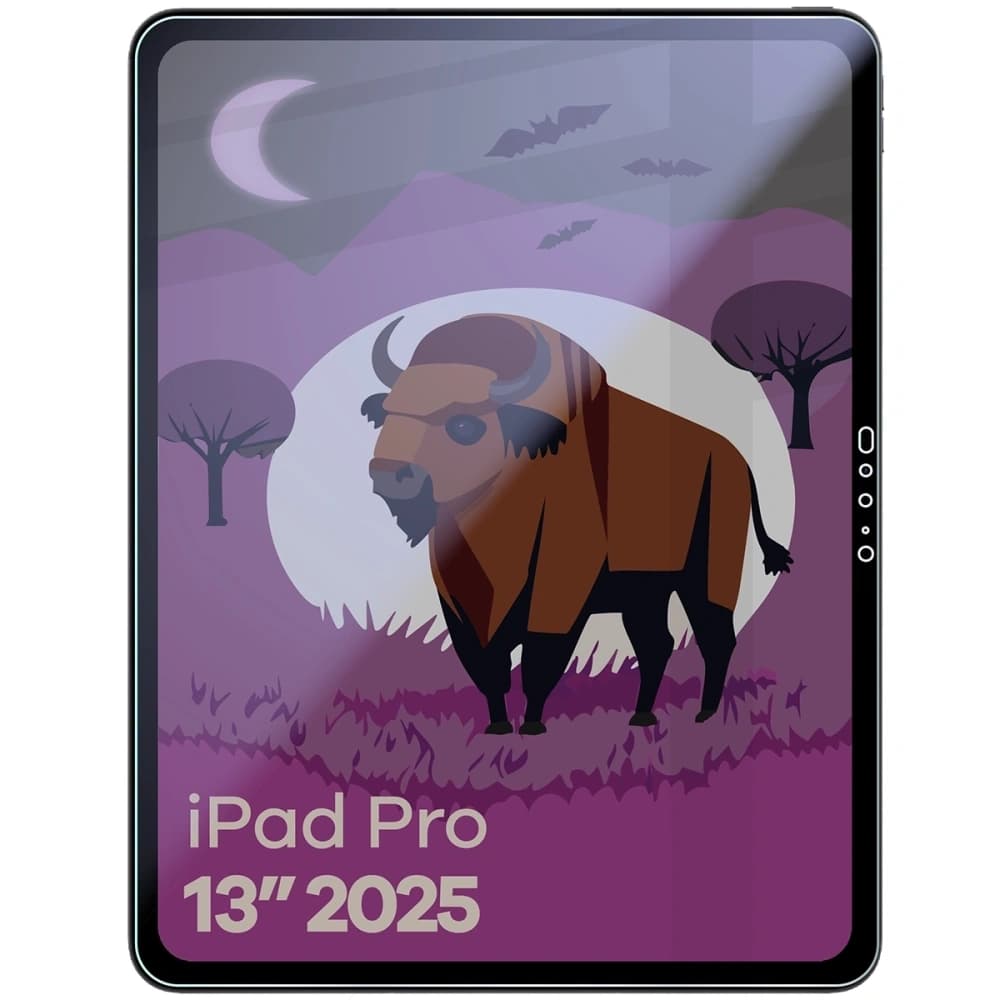Bizon Glass Tab Mule Shadow Apple iPad Pro 13" M5 2025 mat - 3